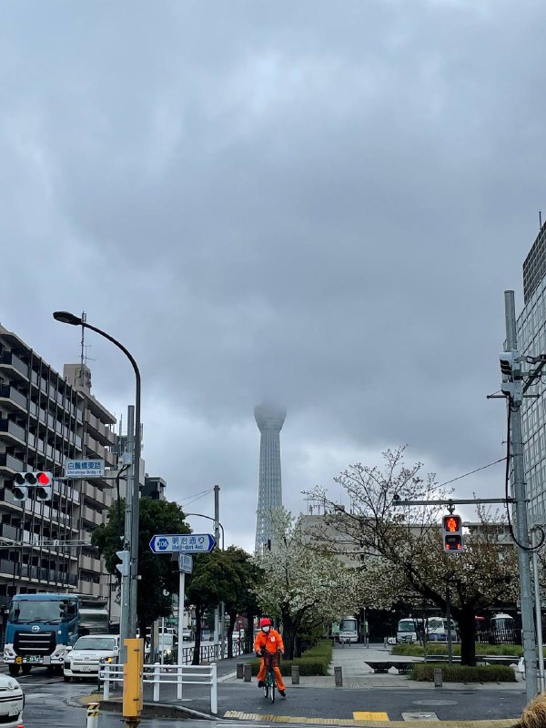 确实不错啊确实不错啊