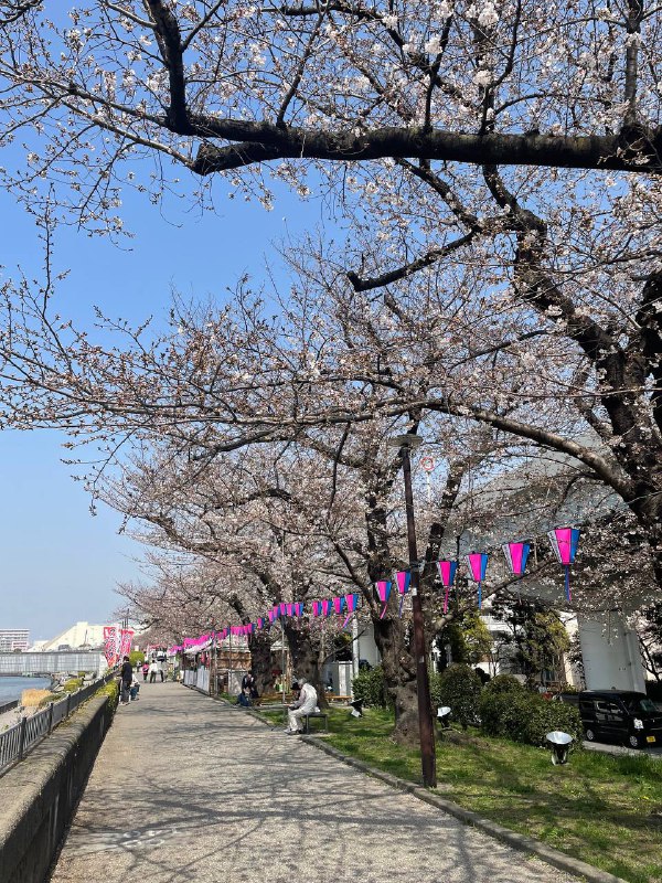 中午出去走了走中午出去走了走