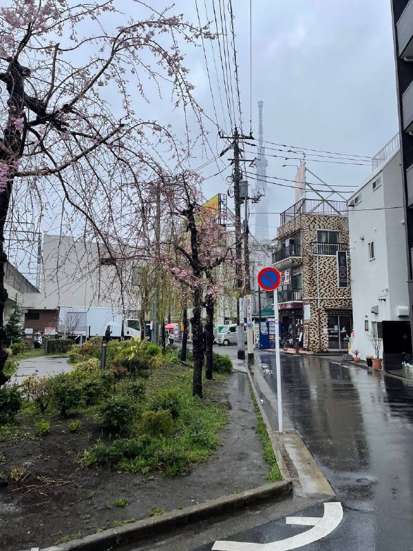 下雨天去看小型音乐节