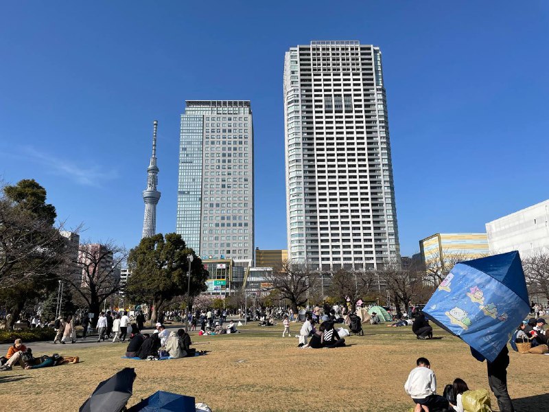 周日去医院复查了下膝盖，顺便去本区的二战东京空袭展览逛了下，然后去附近的公园和神社逛了下