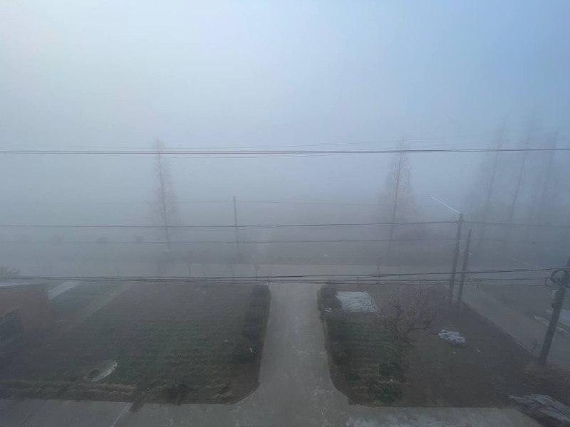 昨日の多い霧🌁